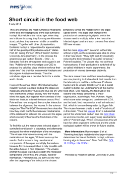 Short circuit in the food web