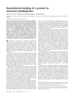 Nonstatistical binding of a protein to clustered carbohydrates