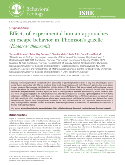 Effects of experimental human approaches on escape behavior in