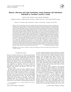 Biomass Allocation and Light Partitioning Among Dominant and