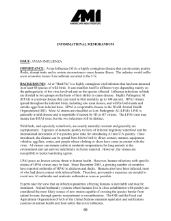 INFORMATIONAL MEMORANDUM ISSUE: AVIAN INFLUENZA