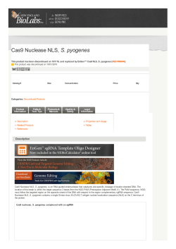 Cas9 Nuclease NLS, S. pyogenes | NEB