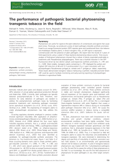 The performance of pathogenic bacterial phytosensing transgenic
