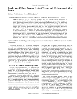 Uracils as a Cellular Weapon Against Viruses and Mechanisms of