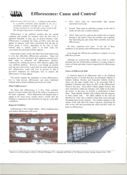 Efflorescence: Cause and Control