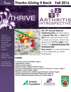 AI Fall 2016 Newsletter - Arthritis Introspective
