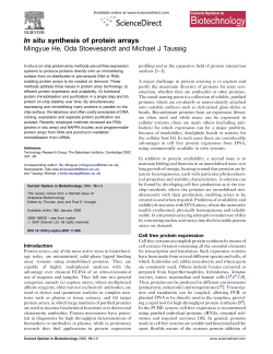 In situ synthesis of protein arrays