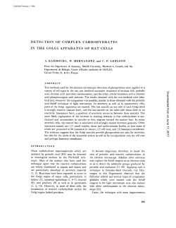 detection of complex carbohydrates in the golgi apparatus of rat cells