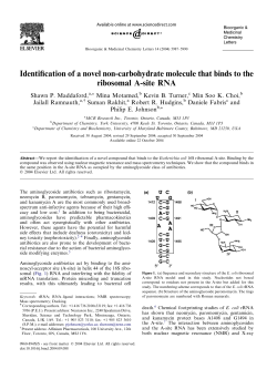 Identification of a novel non-carbohydrate molecule that binds to the