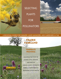 Selecting Plants for Pollinators - University of Illinois Extension