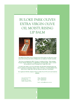 lip balm A4.pub - Buloke Park Olives