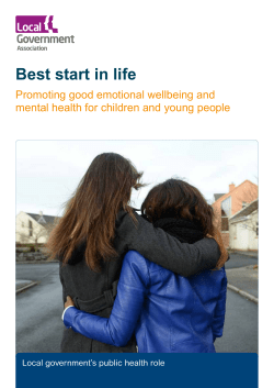 Best start in life - Local Government Association