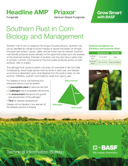 Priaxor Southern Rust in Corn Technical