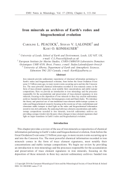 Iron minerals as archives of Earth`s redox and biogeochemical