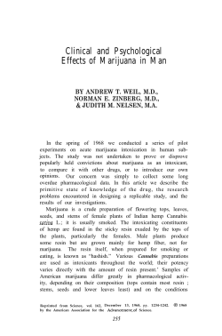 Clinical and Psychological Effects of Marijuana in Man