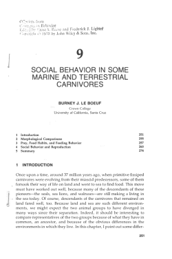 social behavior in some marine and terrestrial carnivores