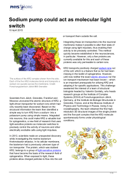 Sodium pump could act as molecular light switch