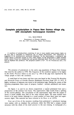 Complete polydactylism in Papua New Guinea village pig,