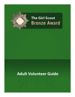Adult Volunteer Guide