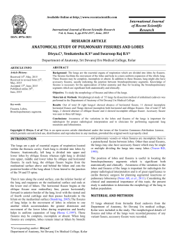 anatomical study of pulmonary fissures and lobes