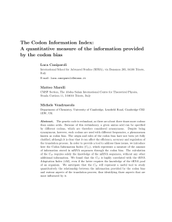 The Codon Information Index