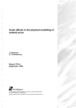 Scale effects in the physical modelling of seabed scour