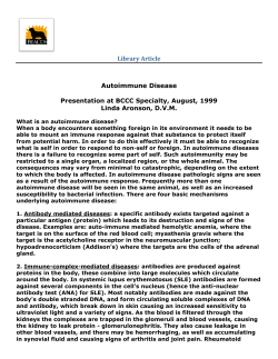 Autoimmune Disease - Beacon for Health