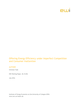 Offering Energy Efficiency under Imperfect Competition and