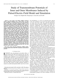 Study of Transmembrane Potentials of Inner and Outer Membranes