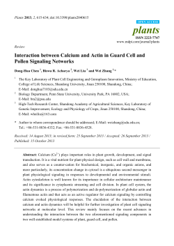 Interaction between Calcium and Actin in Guard Cell and Pollen