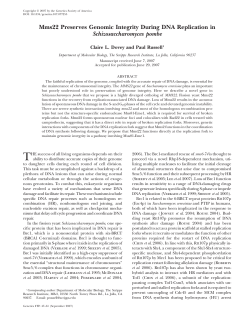 Mms22 Preserves Genomic Integrity During DNA Replication in
