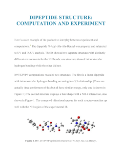 DIPEPTIDE STRUCTURE: COMPUTATION AND EXPERIMENT