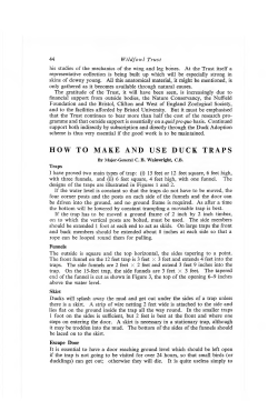 how to make and use duck traps