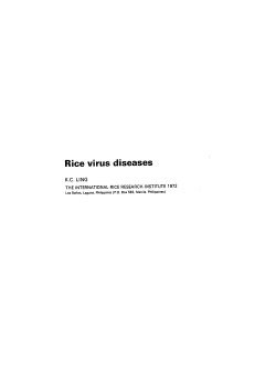 Rice virus diseases