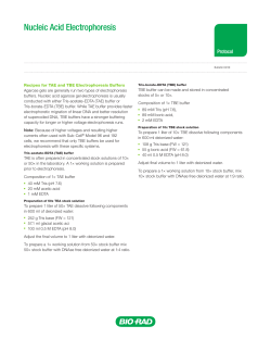 Nucleic Acid Electrophoresis - Bio-Rad