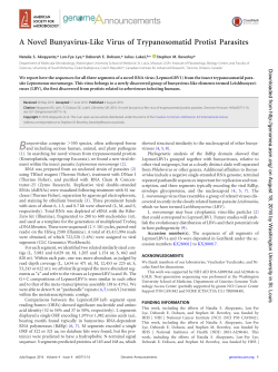 A Novel Bunyavirus-Like Virus of Trypanosomatid Protist Parasites