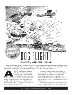 Dog Flight! - Age of Aces