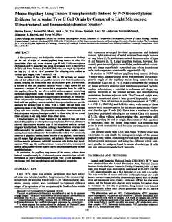 Evidence for Alveolar Type II Cell Origin by