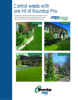 Control weeds with one hit of Roundup Pro&reg; .