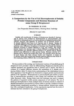 A Comparison by the Use of Gel Electrophoresis of