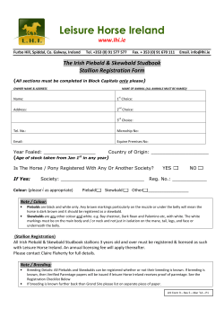Leisure Horse Ireland