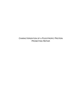 Characterization of a Pleiotropic Protein Promoting DNA Repair