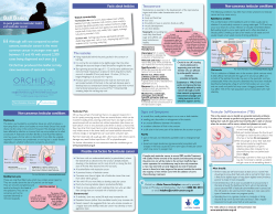 Ball Basics - Orchid Cancer