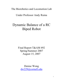 Dynamic Balance of a RC Biped Robot