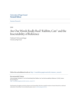 Are Our Words Really Real? Rabbits, Cats* and the Inscrutability of