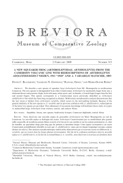a new squeaker frog (arthroleptidae: arthroleptis) from the cameroon