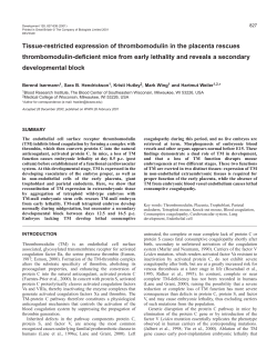 A dual role of thrombomodulin during development