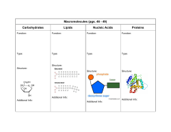 Macromolecules (pgs. 46 49) Carbohydrates Lipids Nucleic Acids