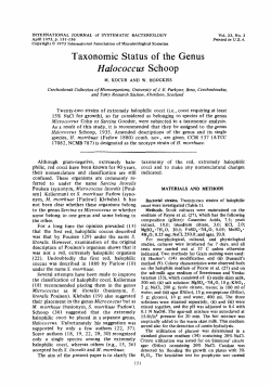 Taxonomic Status of the Genus - International Journal of Systematic