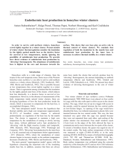 Endothermic heat production in honeybee winter clusters